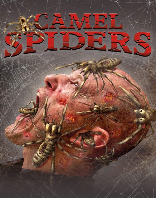 Camel Spiders