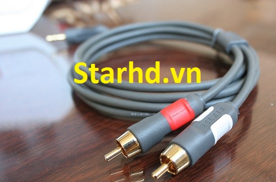 Dây 3.5 to RCA BELKIN