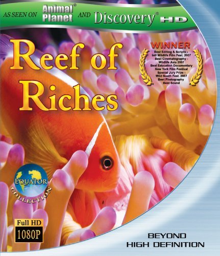 Equator Reefs Of Riches Deep Blue 2