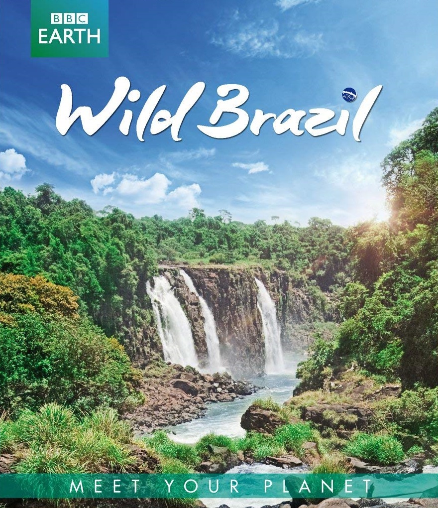 BBC Wild Brazil