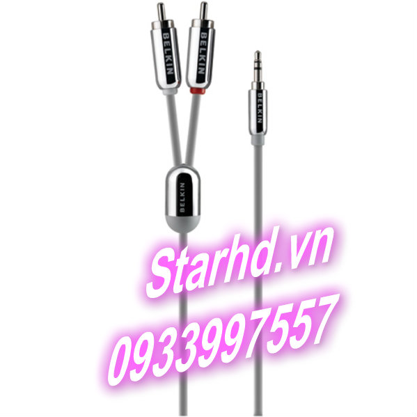 Belkin 3.5 to 2 RCA