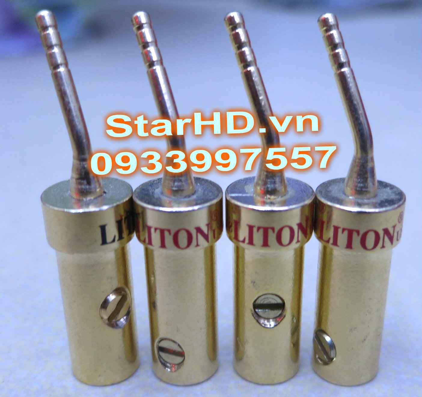 Jack mỏ chim Liton