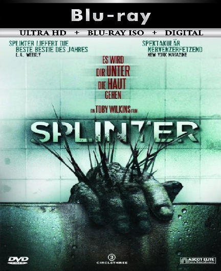 Splinter
