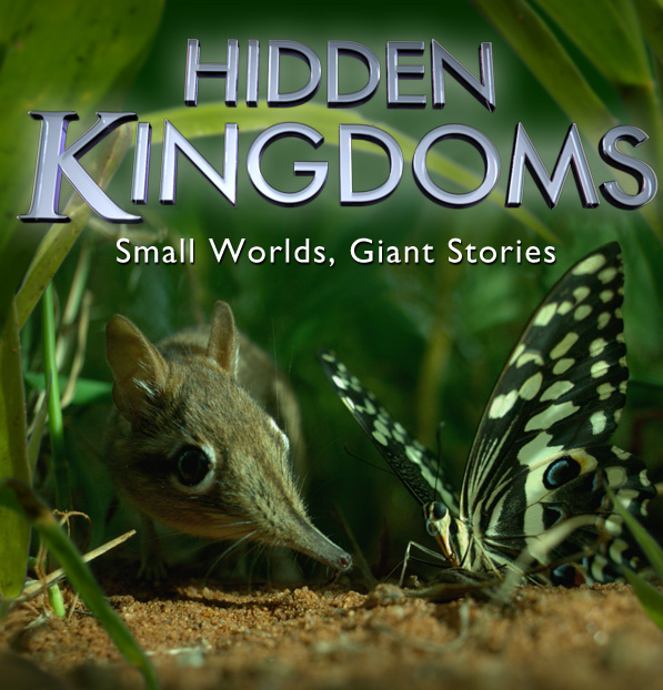 Hidden Kingdoms