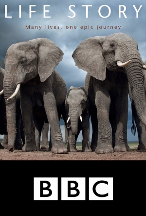 BBC Life Story