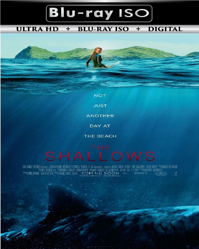 The Shallows