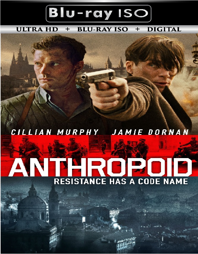 Anthropoid