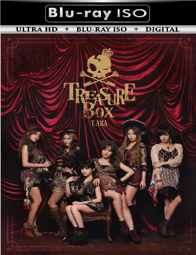 T-ara Japan Tour