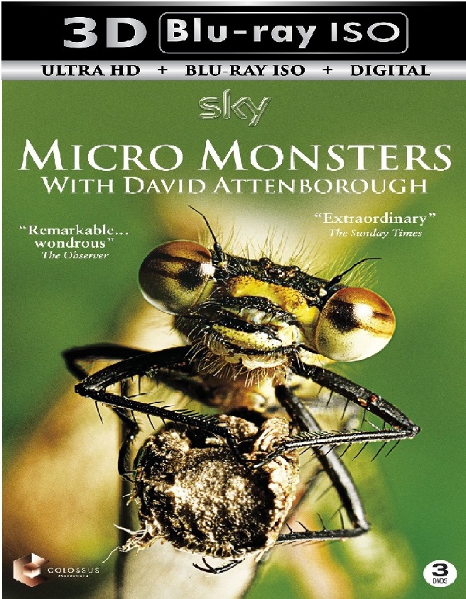 Micro Monsters