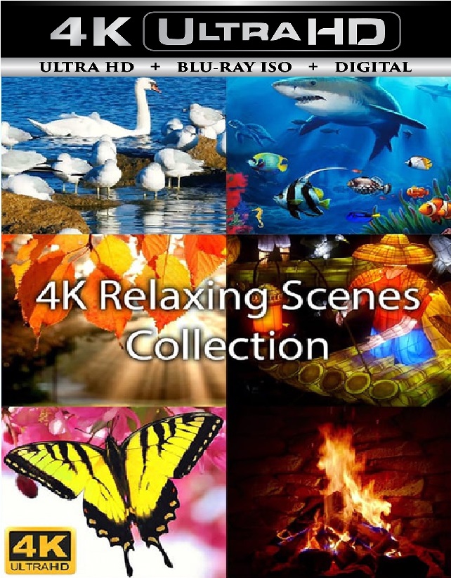 Relaxing Scenes ...