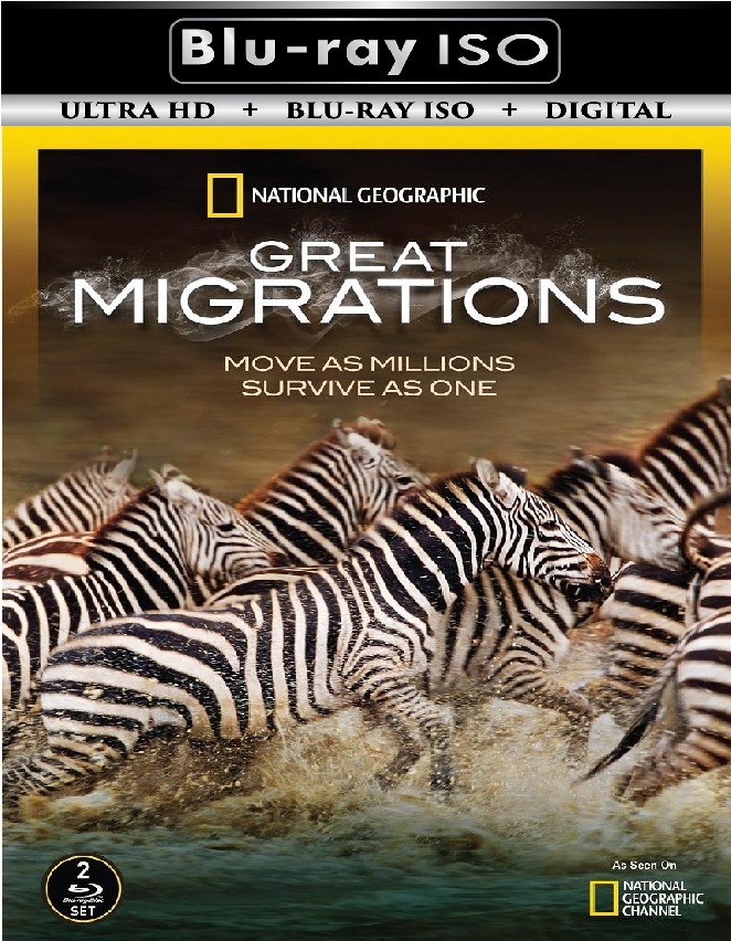 National Geographic 8