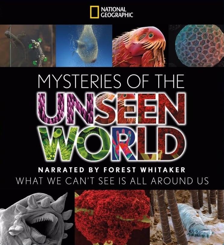 Mysteries of the Unseen