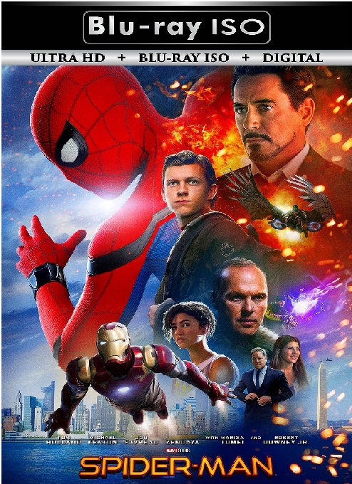 Spider Man 6