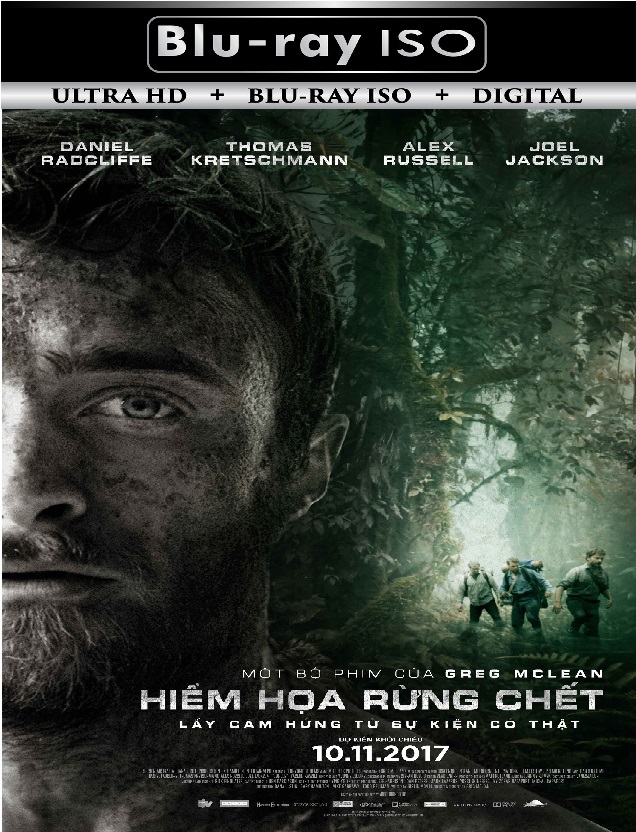 Jungle