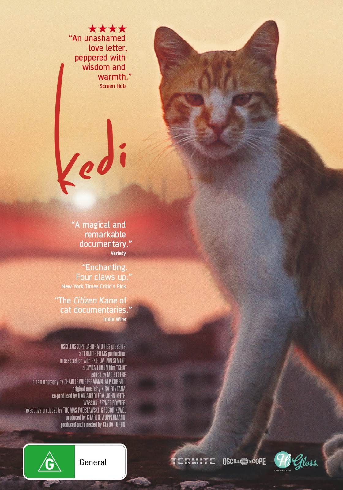 Kedi