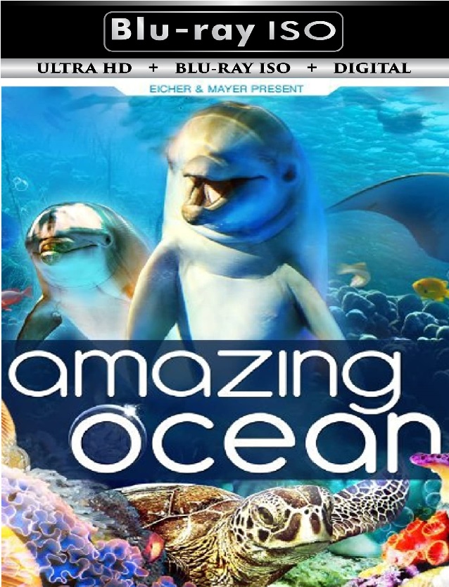 Amazing Ocean