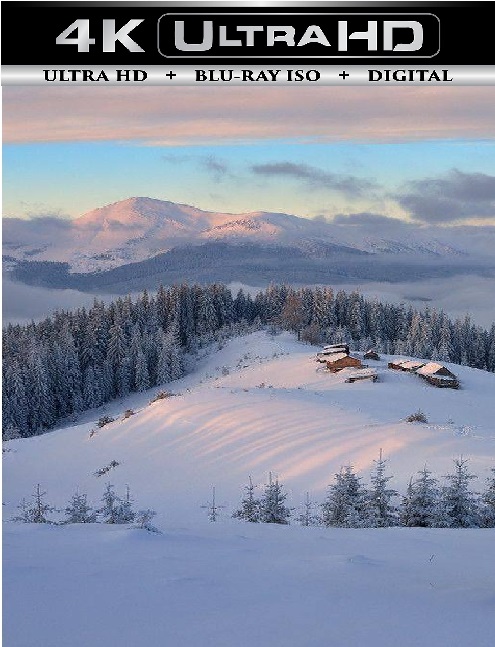 Winter in The Carpathians