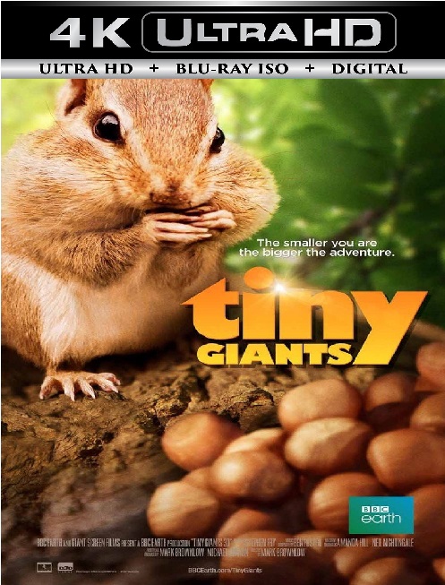 Tiny Giants