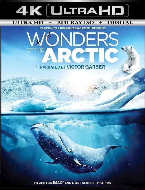 Wonders of the Arctic