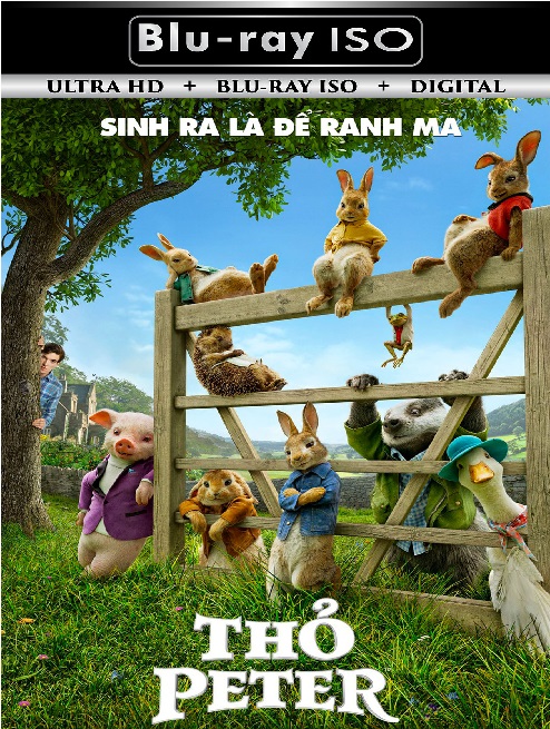 Peter Rabbit