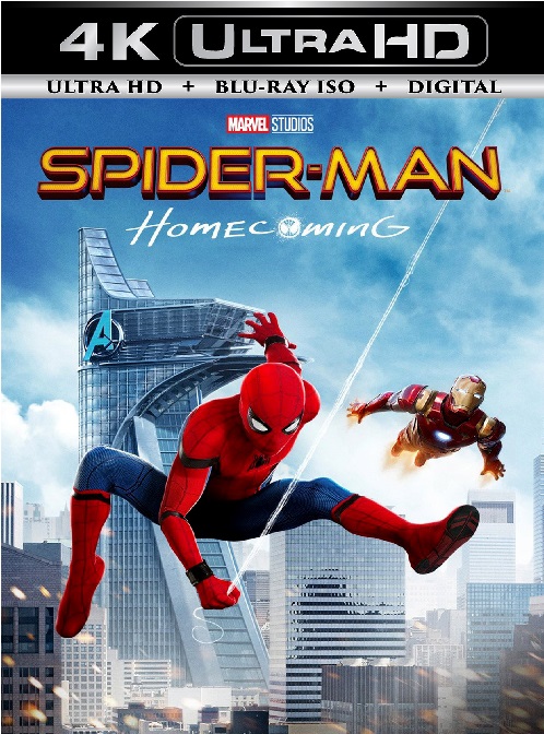 Spider Man 6