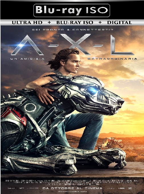 A-X-L
