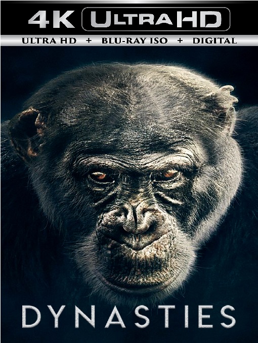 Dynasties