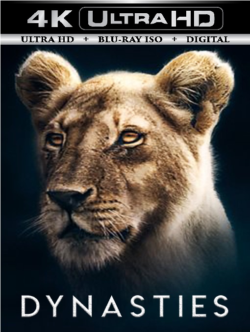 Dynasties 3