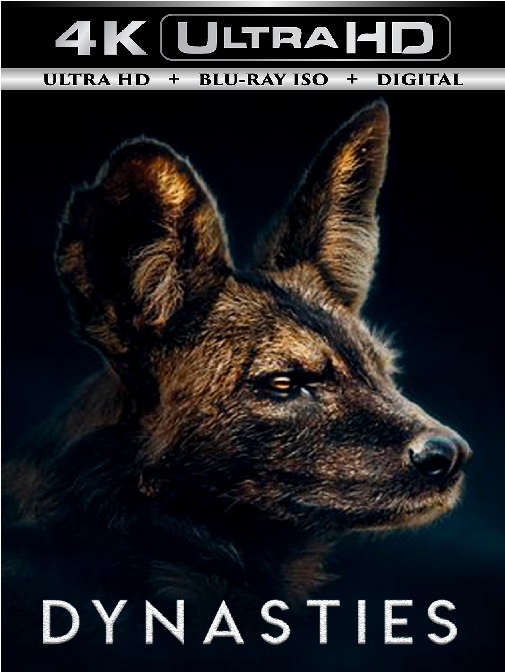Dynasties 4