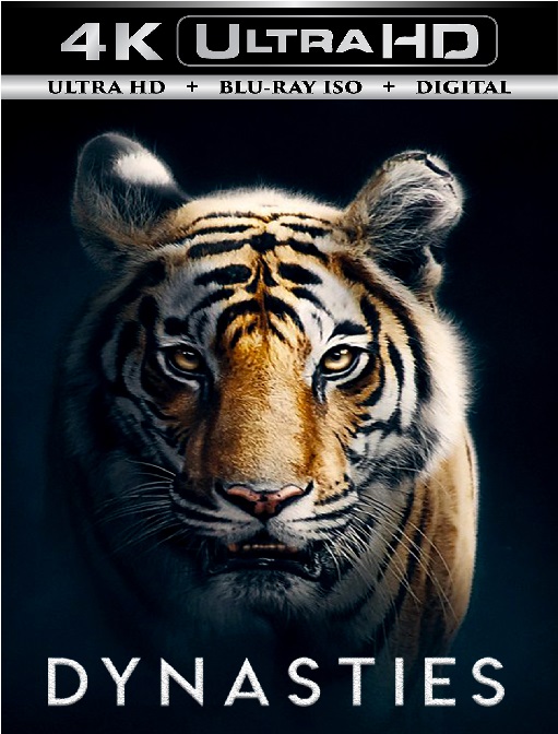 Dynasties 5