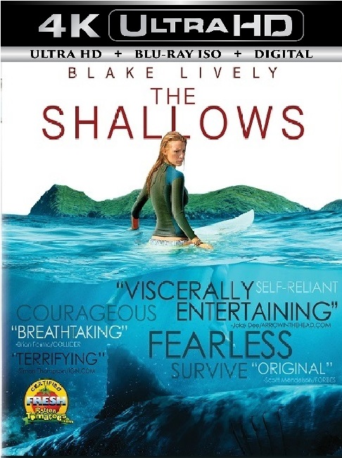 The Shallows