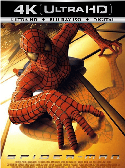 Spider Man