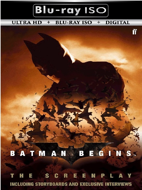 Batman Begins