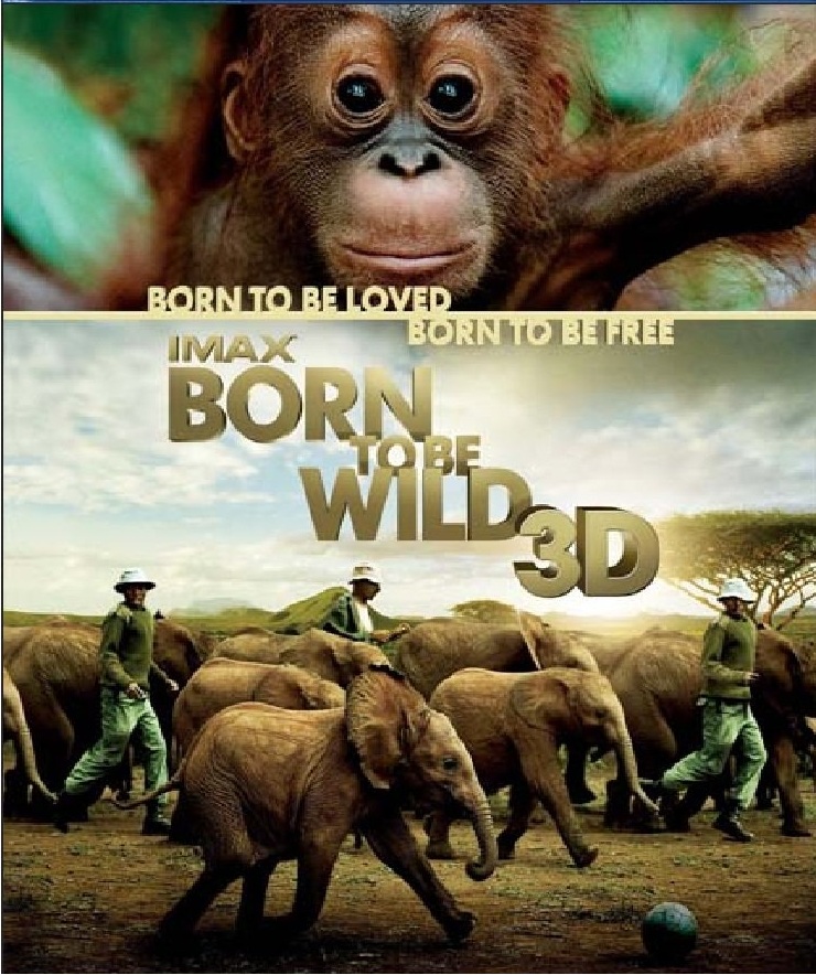 IMAX Born to Be Wild