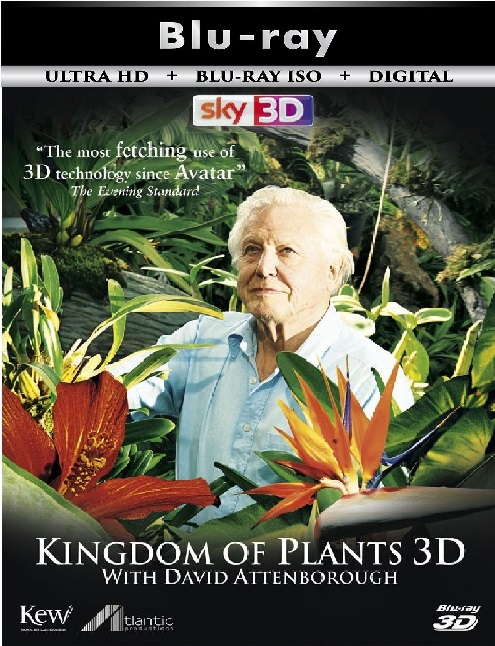 Kingdom of Plants