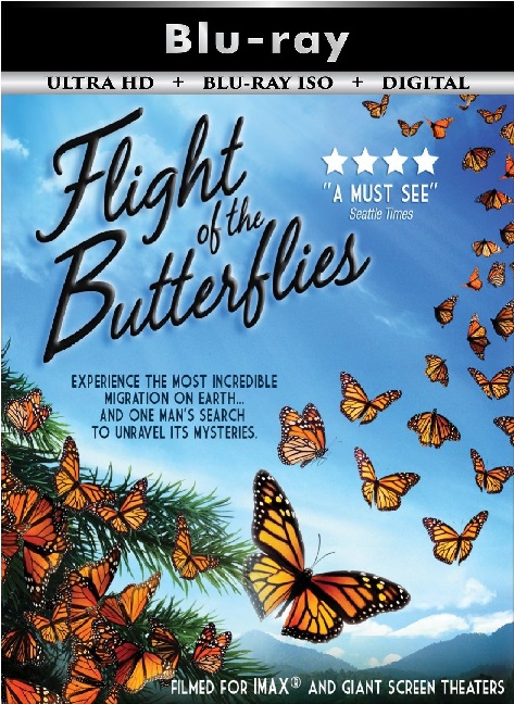 Flight of the Butterflies