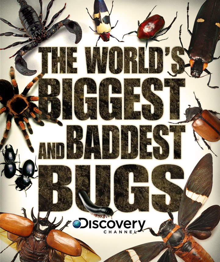 Worlds Biggest ...