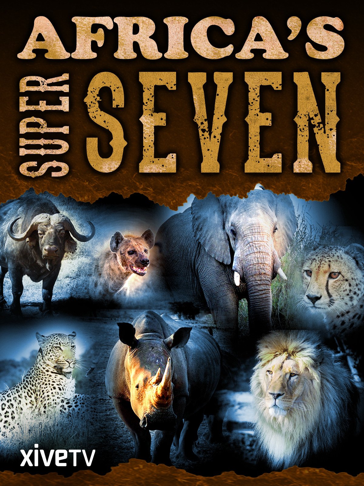 Africas Super Seven
