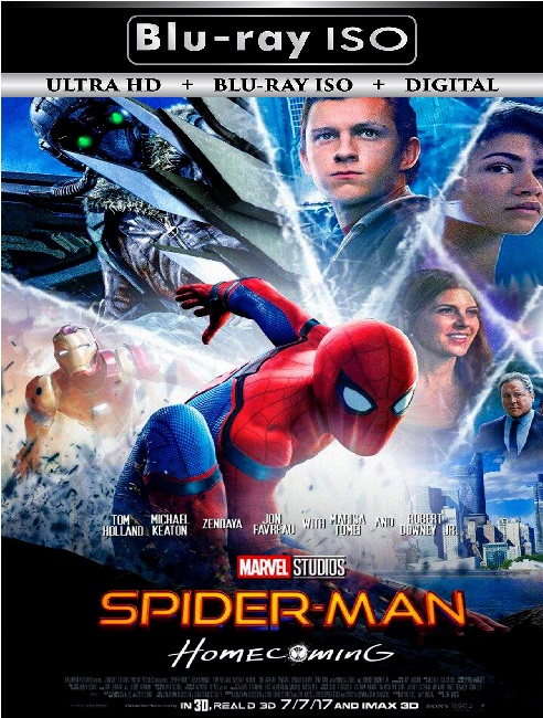 Spider Man 6
