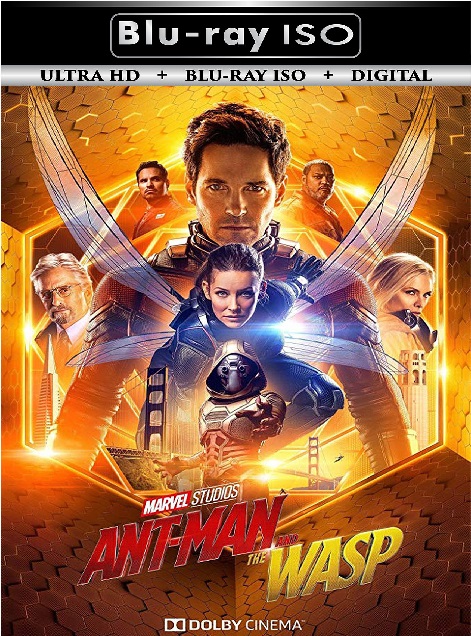 Ant Man 2