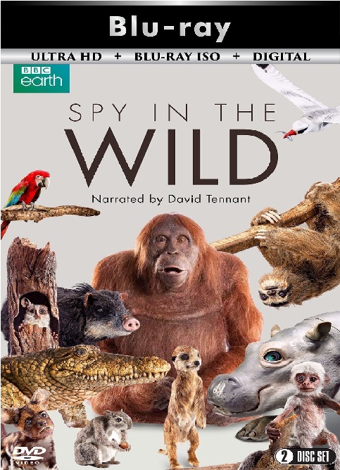 Spy in the Wild