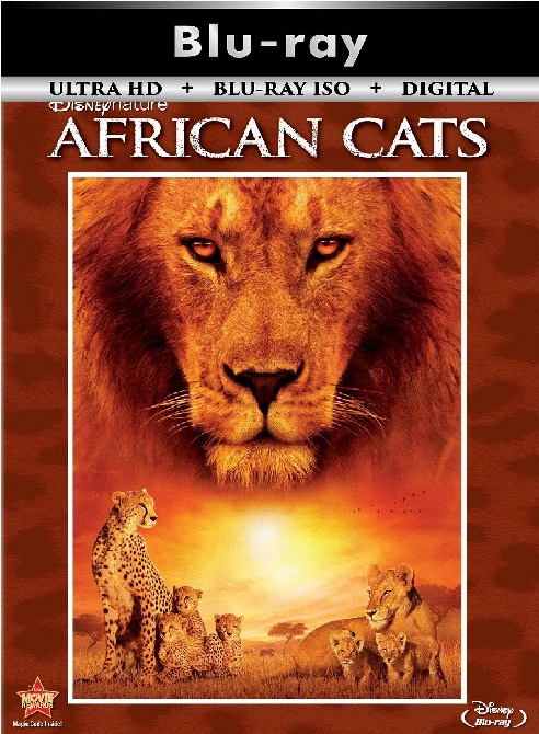 African Cats