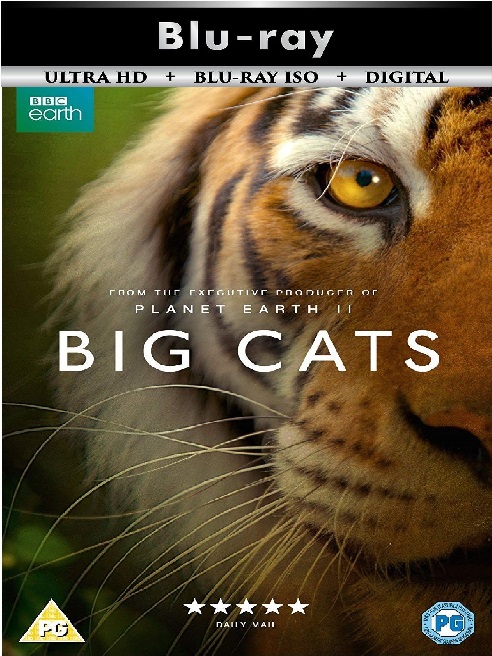 Big Cats