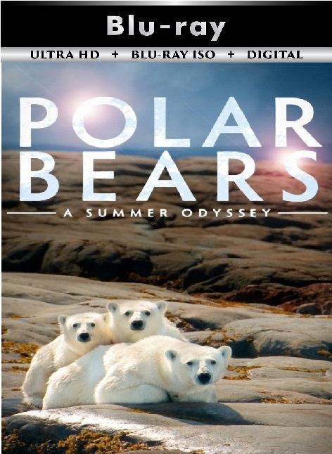Polar Bears A ...