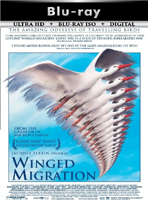 Winged Migration