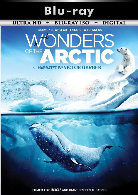 Wonders of the Arctic