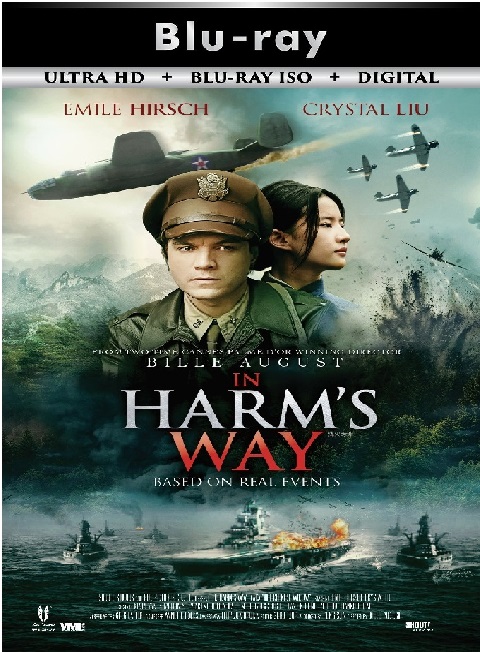 The Chinese Widow
