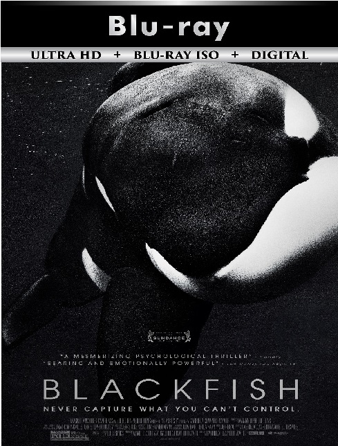 Blackfish