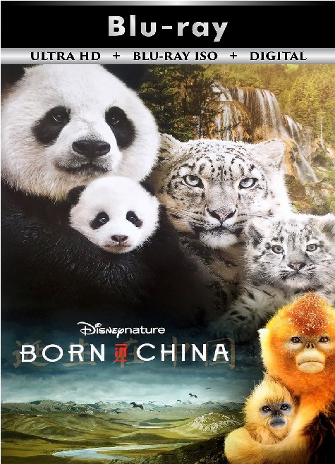 Born in China