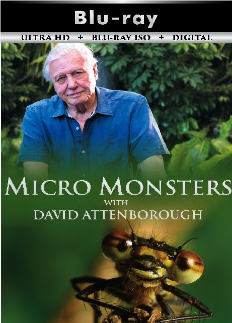 Micro Monsters ...